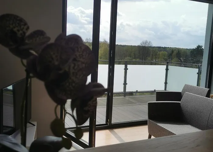 Tarasy Anastazewa * Anastazewo